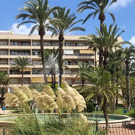 Sweet El Palmeral Locos