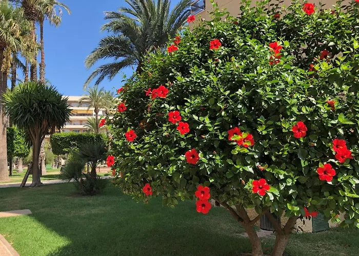 Lägenhet Sweet El Palmeral Locos