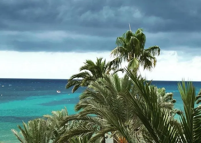 Lägenhet Sweet El Palmeral Locos Torrevieja