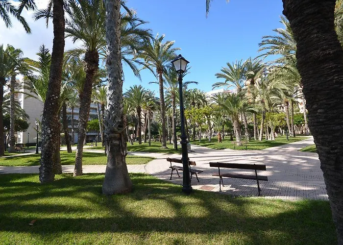 Lägenhet Sweet El Palmeral Locos Torrevieja