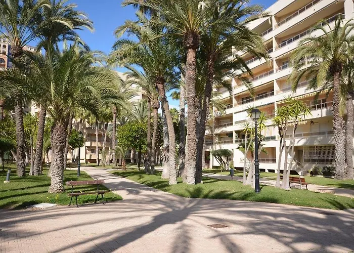 Sweet El Palmeral Locos Torrevieja