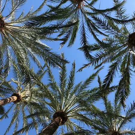 Sweet El Palmeral Locos Apartment Torrevieja