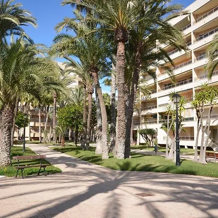 Sweet El Palmeral Locos Torrevieja