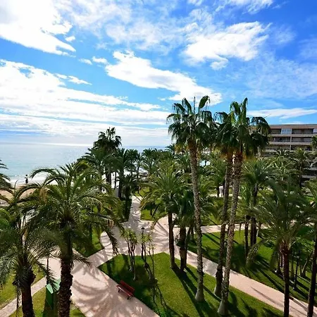 Sweet El Palmeral Locos * Torrevieja